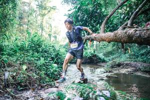 BIB: 
                            <button type="button" onclick="openModal(25431959)" class="btn btn-primary btn-sm float-right btn-popup" data-toggle="modal" data-target=".modal-high-quality">
                        <i class="fas fa-shopping-cart"></i> Add to Cart
                    </button>
                                            <button type="button" onclick="isThisMe(25431959, true)" class="btn btn-success btn-sm float-right btn-popup btn-isme hidden" data-toggle="tooltip" data-placement="bottom" title="นี่คือรูปของคุณใช่ไหม คลิกที่นี่เพื่อเอาเข้าอัลบั้ม">
                        <i class="fas fa-plus"></i> Add to album
                    </button>
                    <button type="button" onclick="isThisMe(25431959, false)" class="btn btn-warning btn-sm float-right btn-popup btn-isnotme hidden">
                        <i class="fas fa-ban"></i> Remove from album
                    </button>